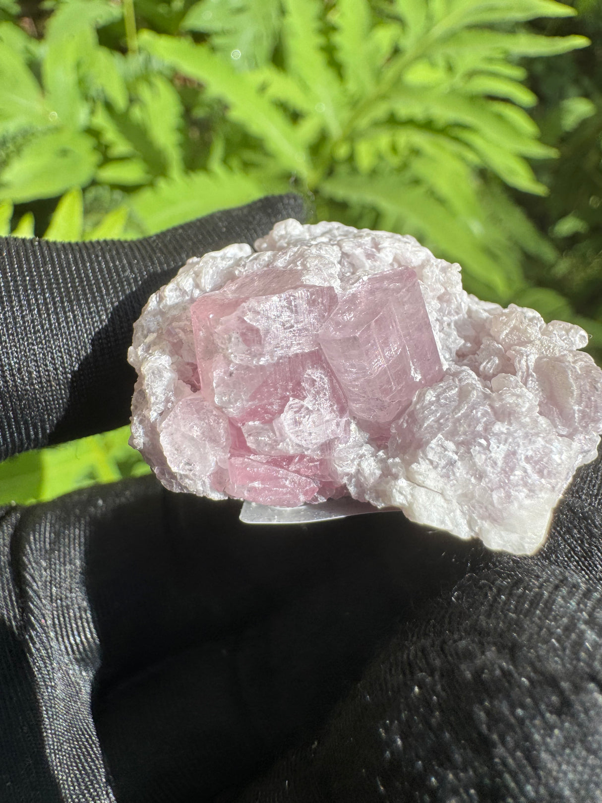 Pink Tourmaline Specimen - 38g