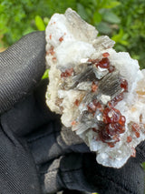 Garnet on Star Mica Specimen - 60g