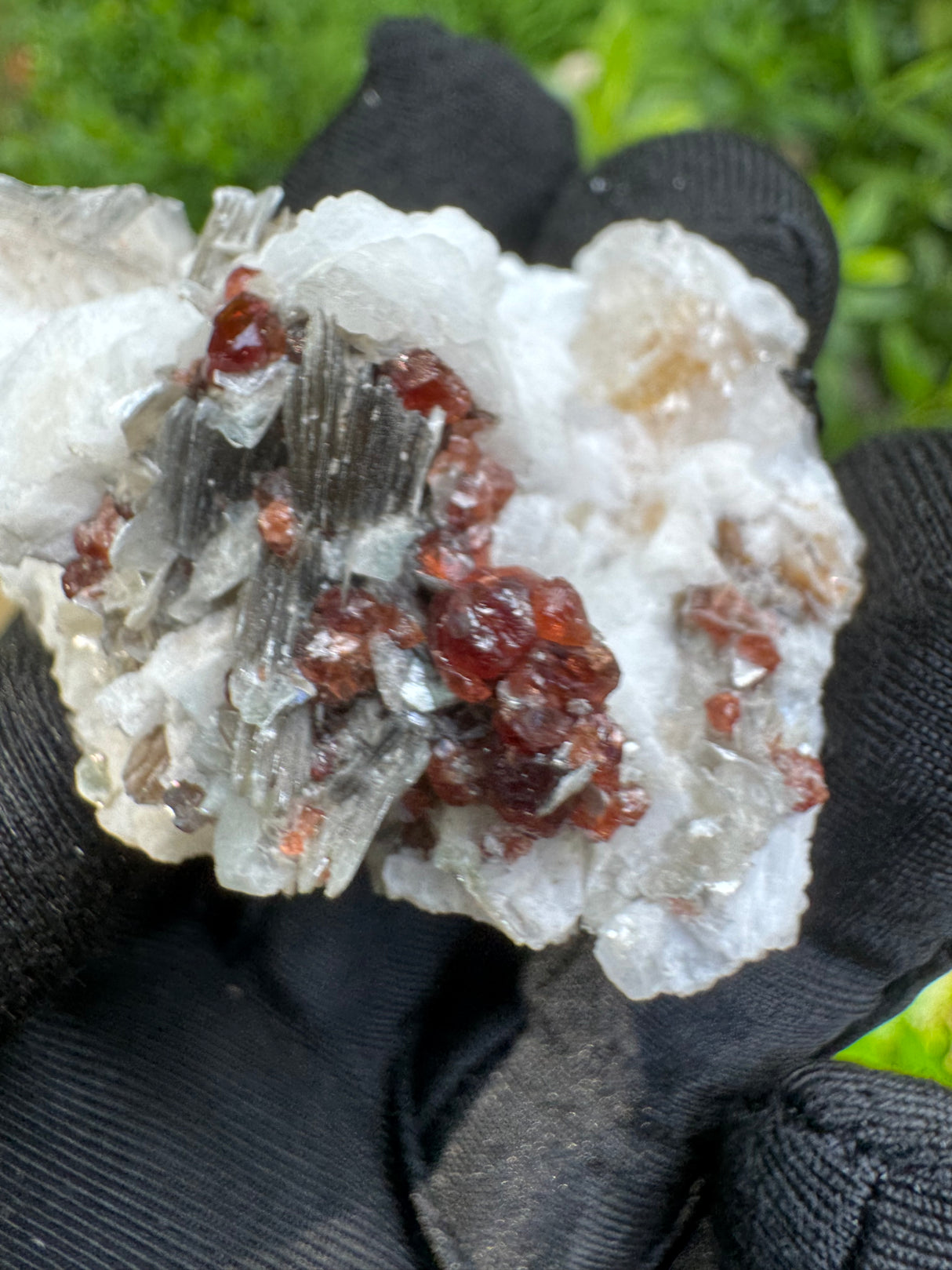 Garnet on Star Mica Specimen - 60g