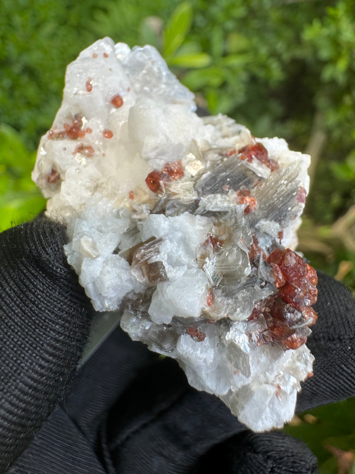 Garnet on Star Mica Specimen - 60g