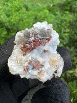Garnet on Star Mica Specimen - 60g