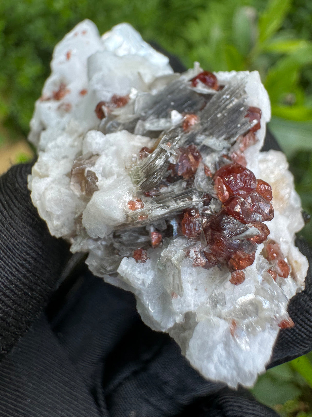 Garnet on Star Mica Specimen - 60g