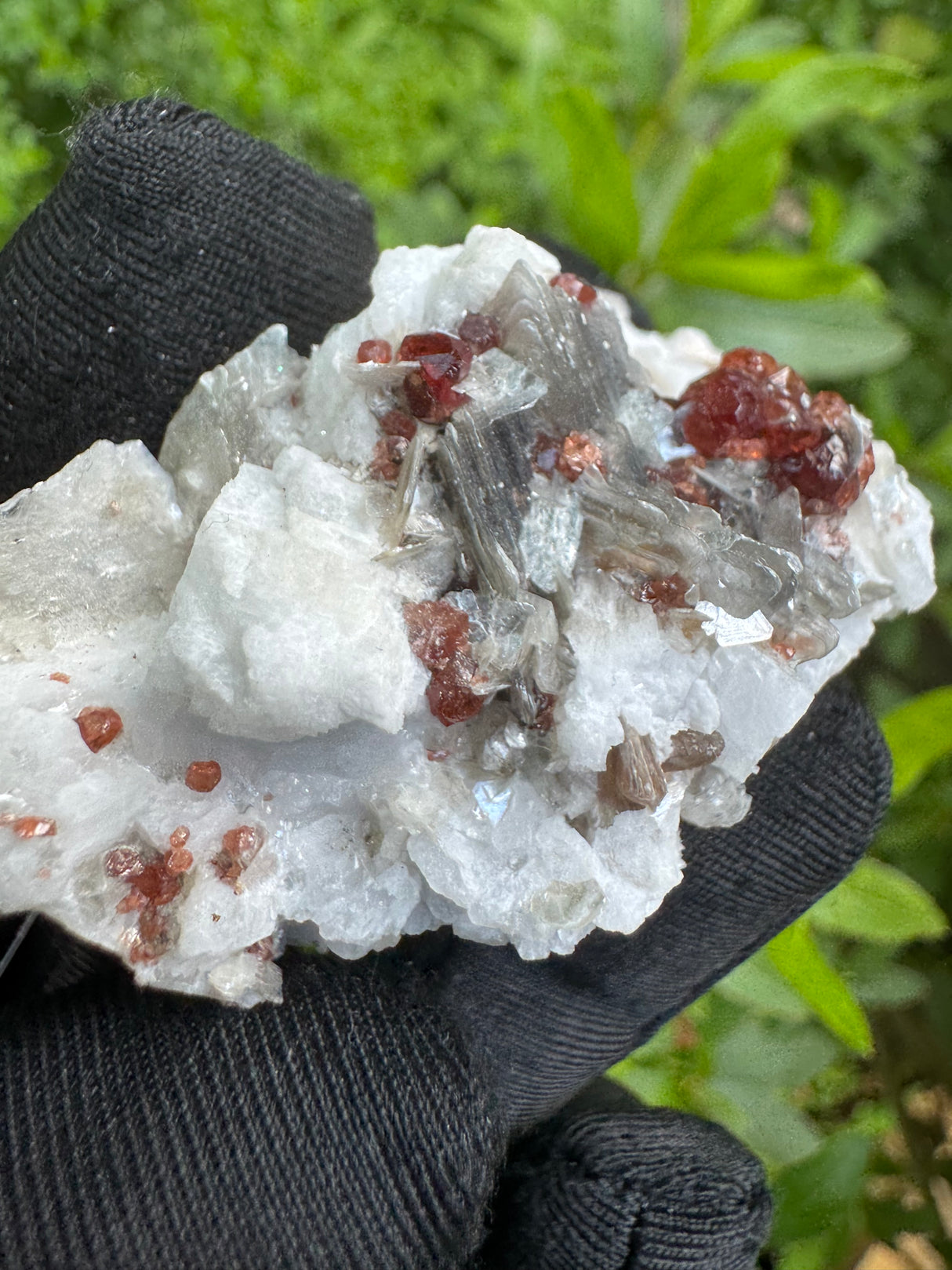 Garnet on Star Mica Specimen - 60g