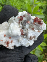 Garnet on Star Mica Specimen - 60g
