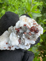 Garnet on Star Mica Specimen - 60g