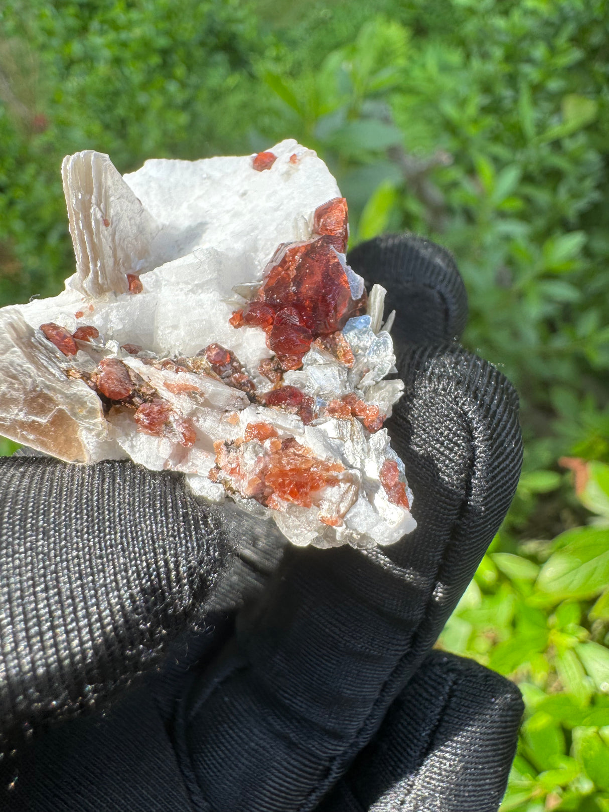 Garnet on Star Mica Specimen - 20g