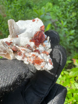 Garnet on Star Mica Specimen - 20g