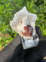 Garnet on Star Mica Specimen - 30g