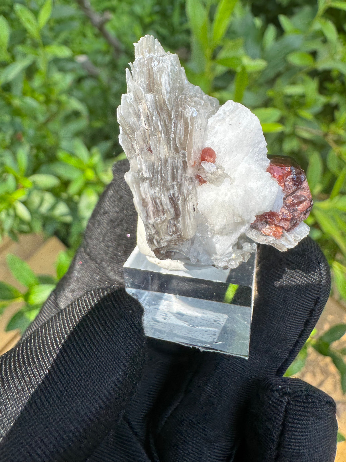 Garnet on Star Mica Specimen - 30g