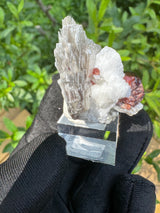 Garnet on Star Mica Specimen - 30g