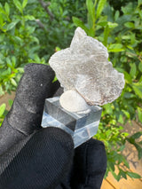 Garnet on Star Mica Specimen - 30g