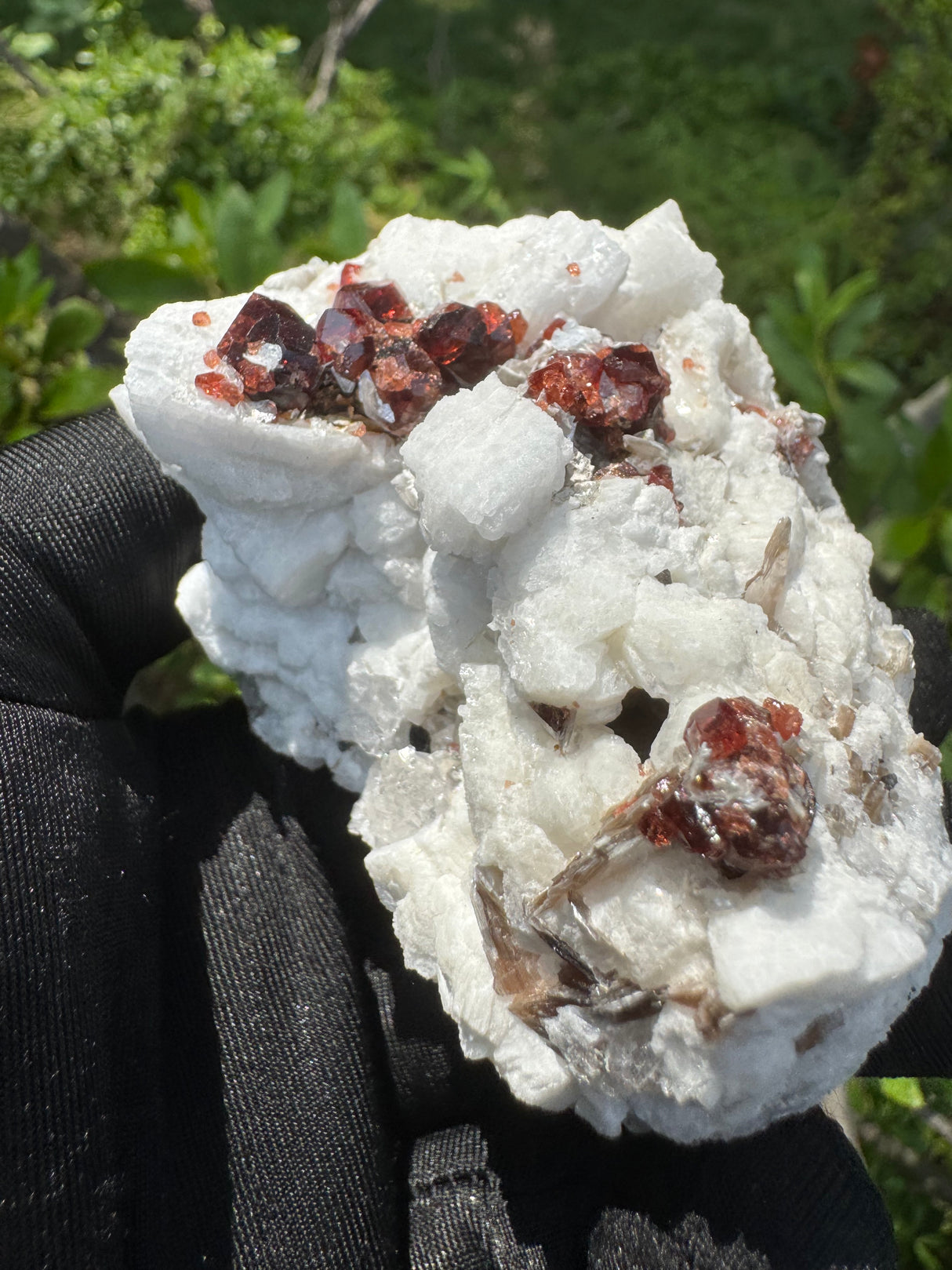Garnet on Star Mica Specimen - 200g