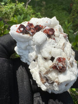 Garnet on Star Mica Specimen - 200g