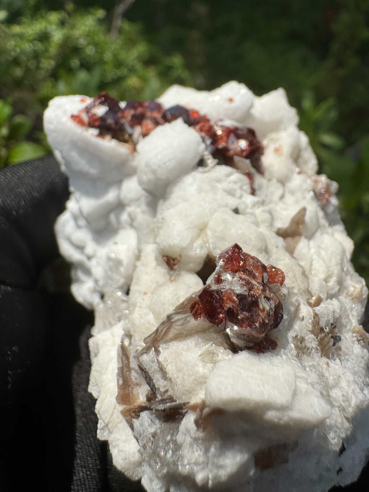 Garnet on Star Mica Specimen - 200g