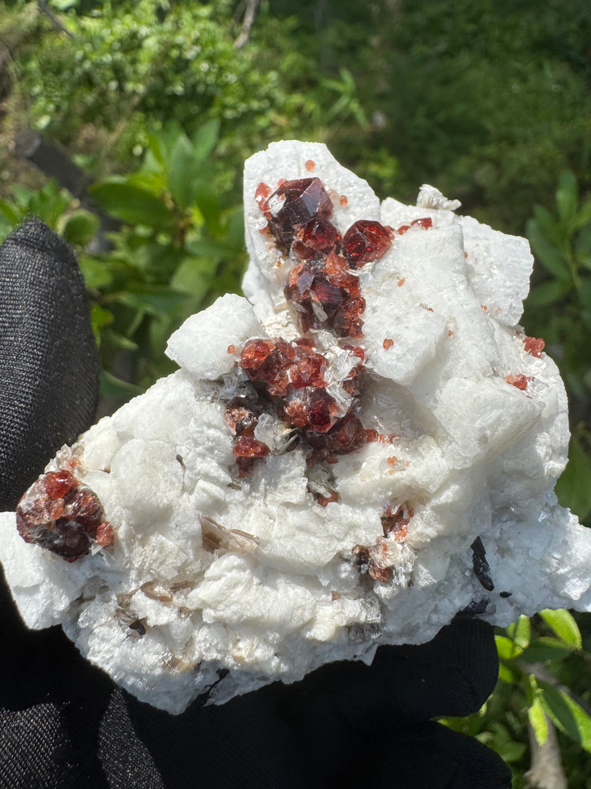 Garnet on Star Mica Specimen - 200g