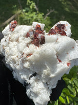 Garnet on Star Mica Specimen - 200g