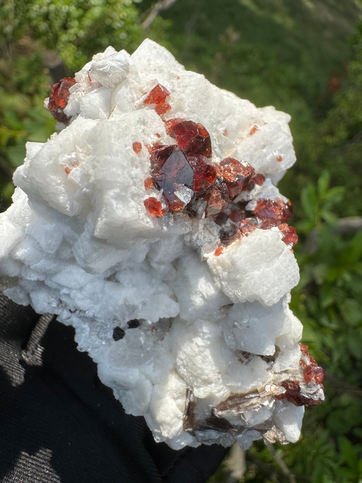 Garnet on Star Mica Specimen - 200g
