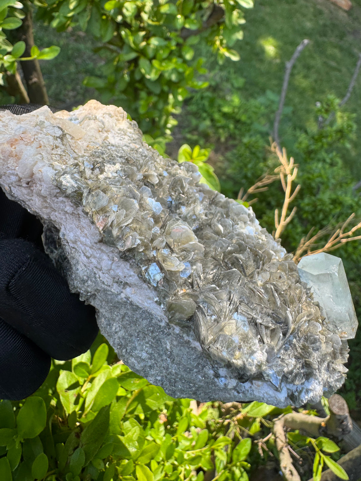 Aquamarine Specimen - 558g