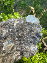 Aquamarine Specimen - 558g