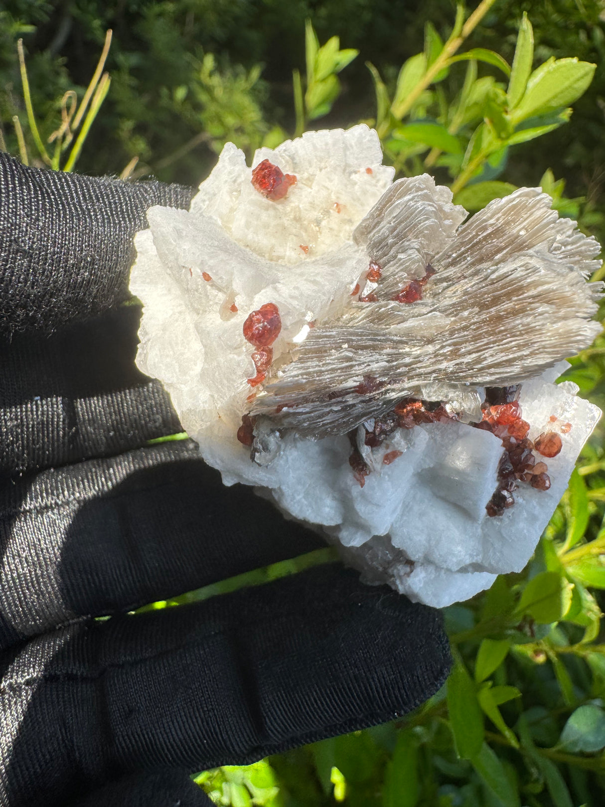 Garnet on Star Mica Specimen - 59g