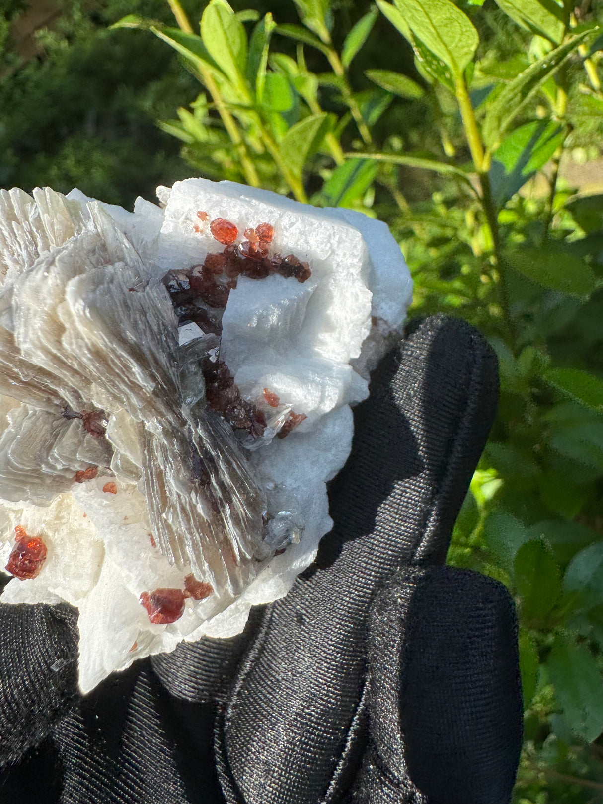 Garnet on Star Mica Specimen - 59g