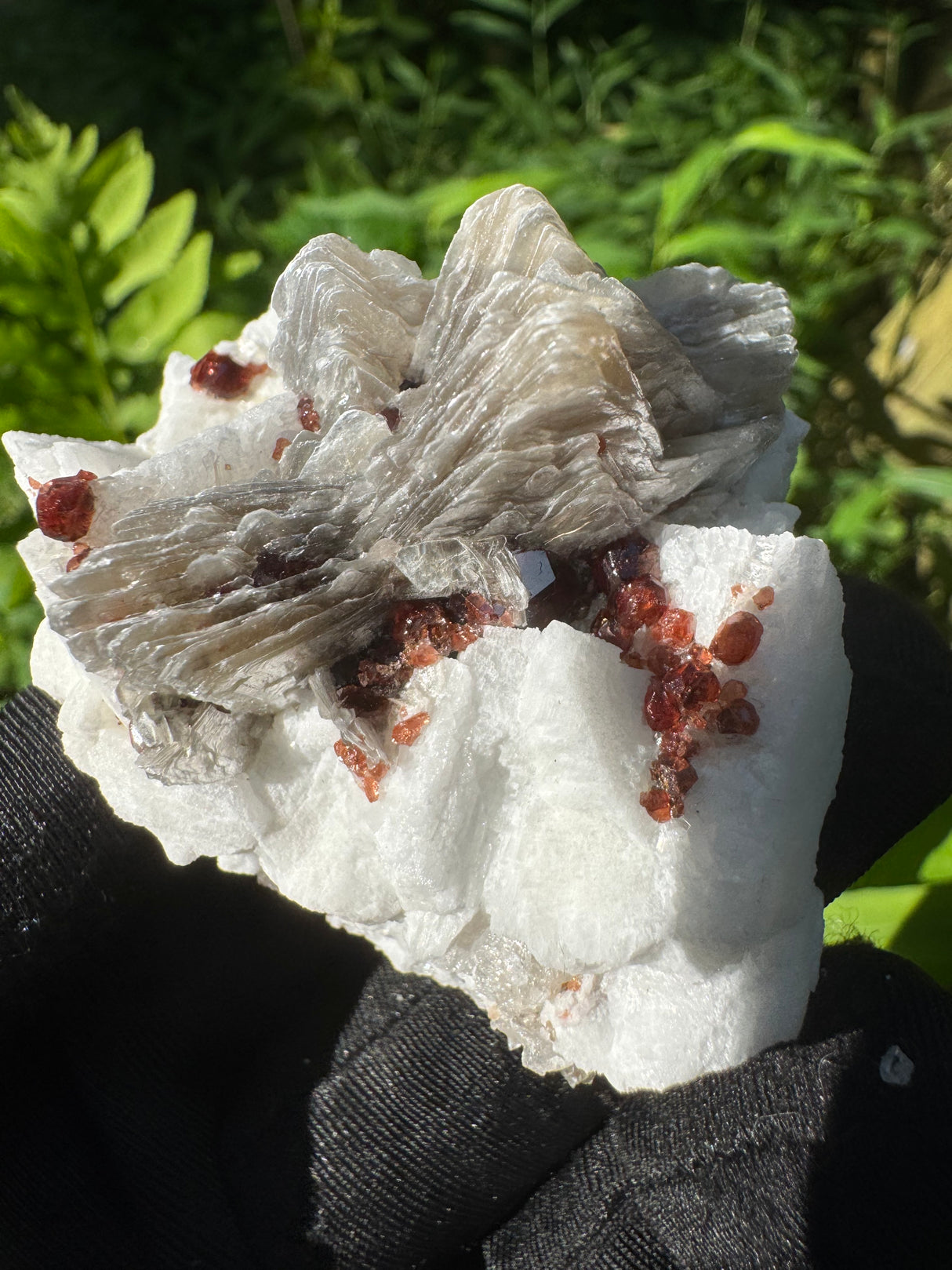 Garnet on Star Mica Specimen - 59g