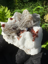Garnet on Star Mica Specimen - 59g