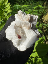 Garnet on Star Mica Specimen - 59g