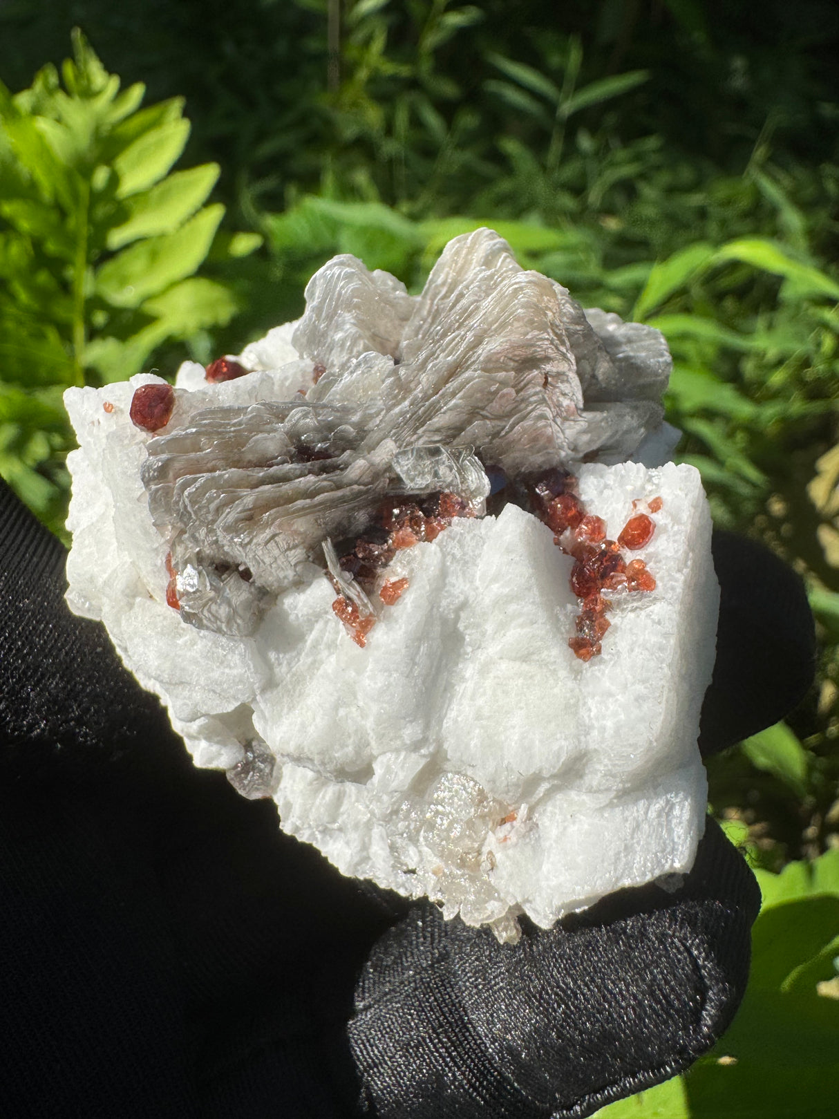 Garnet on Star Mica Specimen - 59g