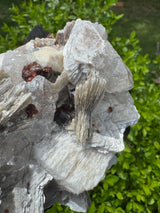 Garnet on Star Mica Specimen - 373g
