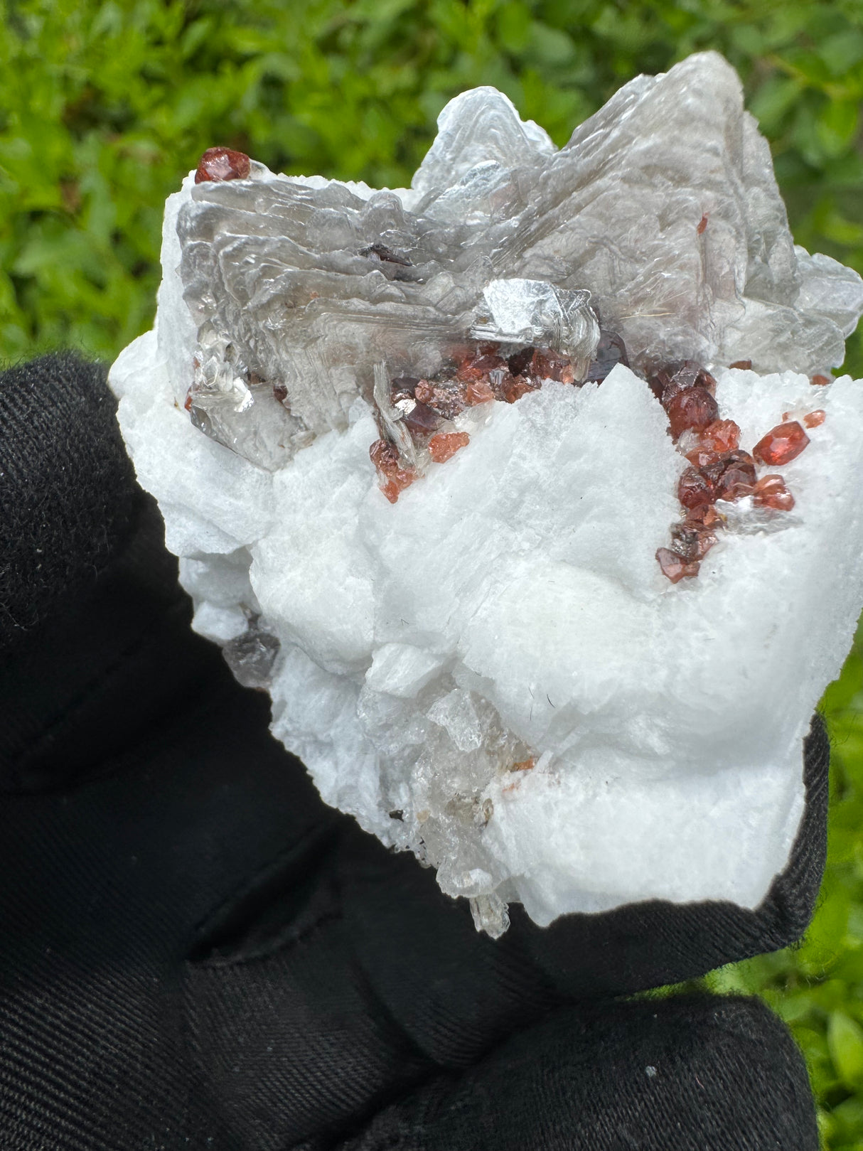 Garnet on Star Mica Specimen - 63g