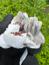 Garnet on Star Mica Specimen - 63g
