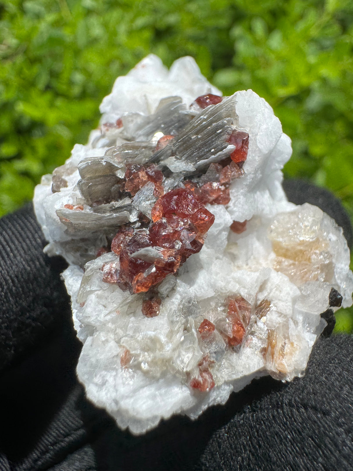 Garnet on Star Mica Specimen - 21g