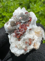 Garnet on Star Mica Specimen - 21g