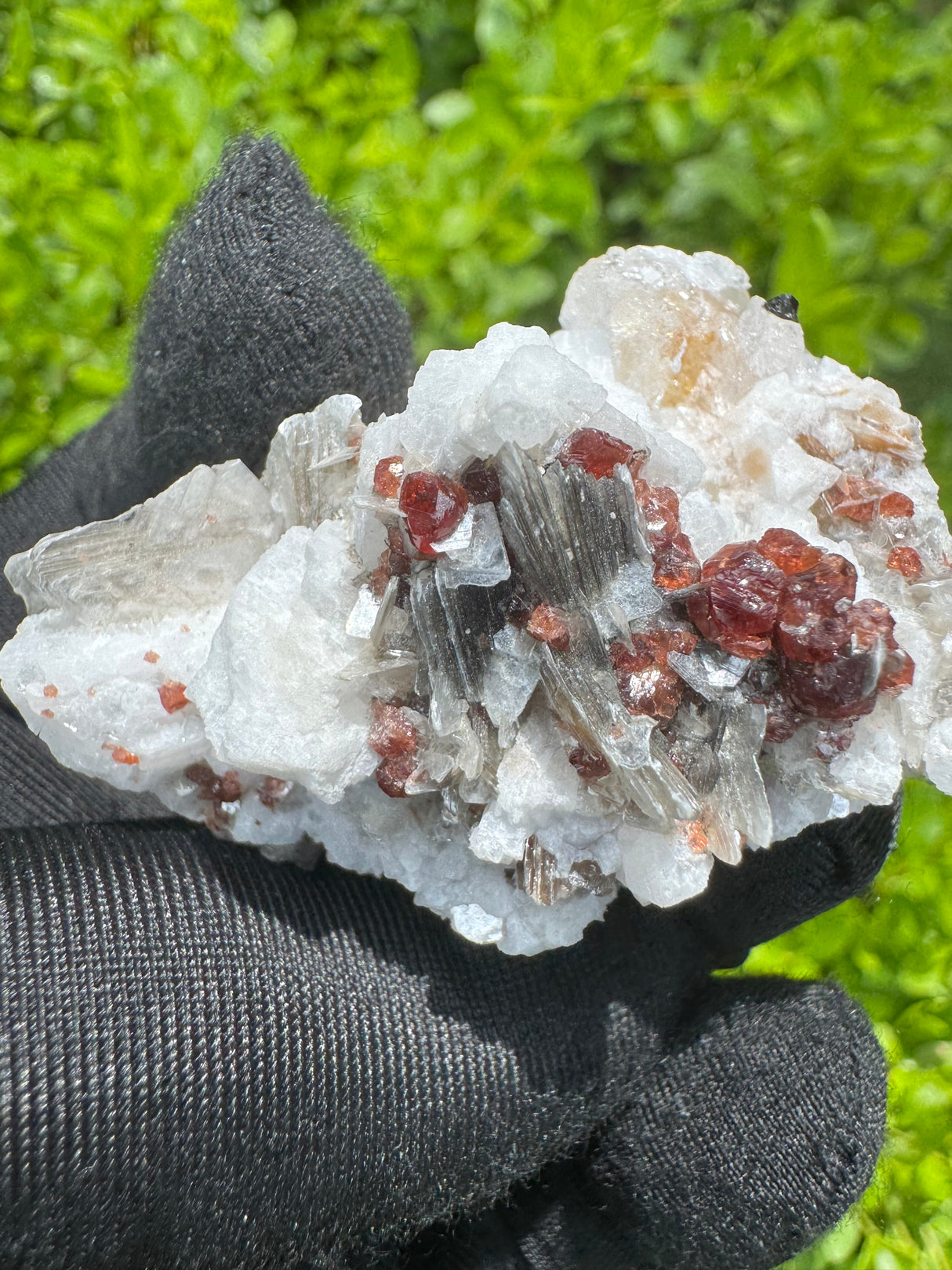 Garnet on Star Mica Specimen - 21g