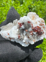 Garnet on Star Mica Specimen - 21g