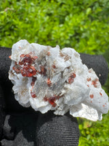 Garnet on Star Mica Specimen - 21g