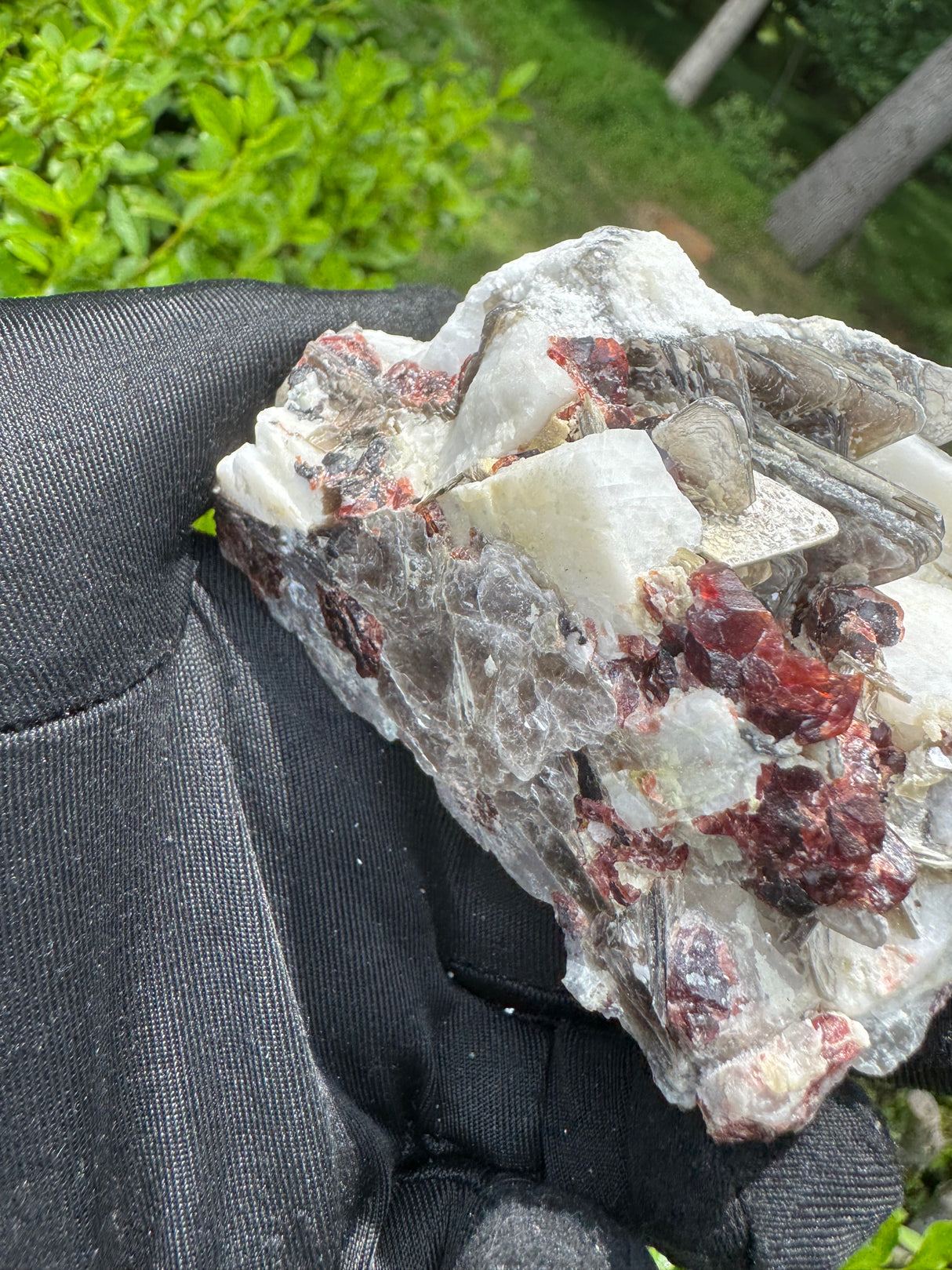 Garnet on Star Mica Specimen - 138g