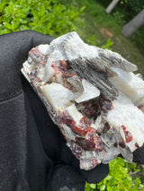 Garnet on Star Mica Specimen - 138g