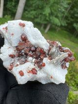 Garnet on Star Mica Specimen - 12g