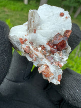 Garnet on Star Mica Specimen - 12g