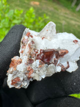 Garnet on Star Mica Specimen - 12g
