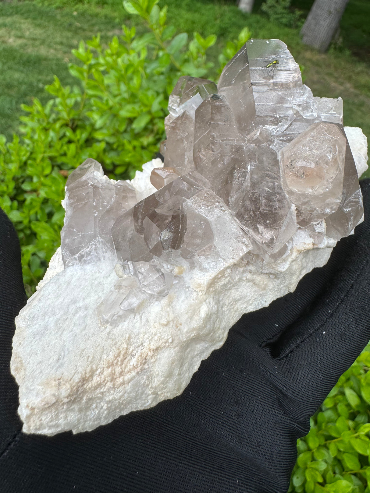 Topaz Specimen - 517g