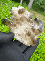 Smoky Quartz Specimen - 485g