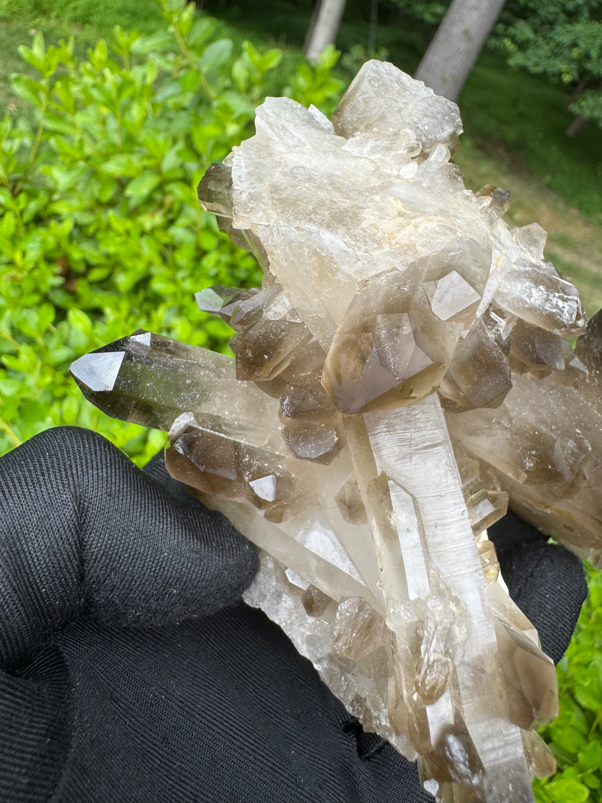 Smoky Quartz Specimen - 485g