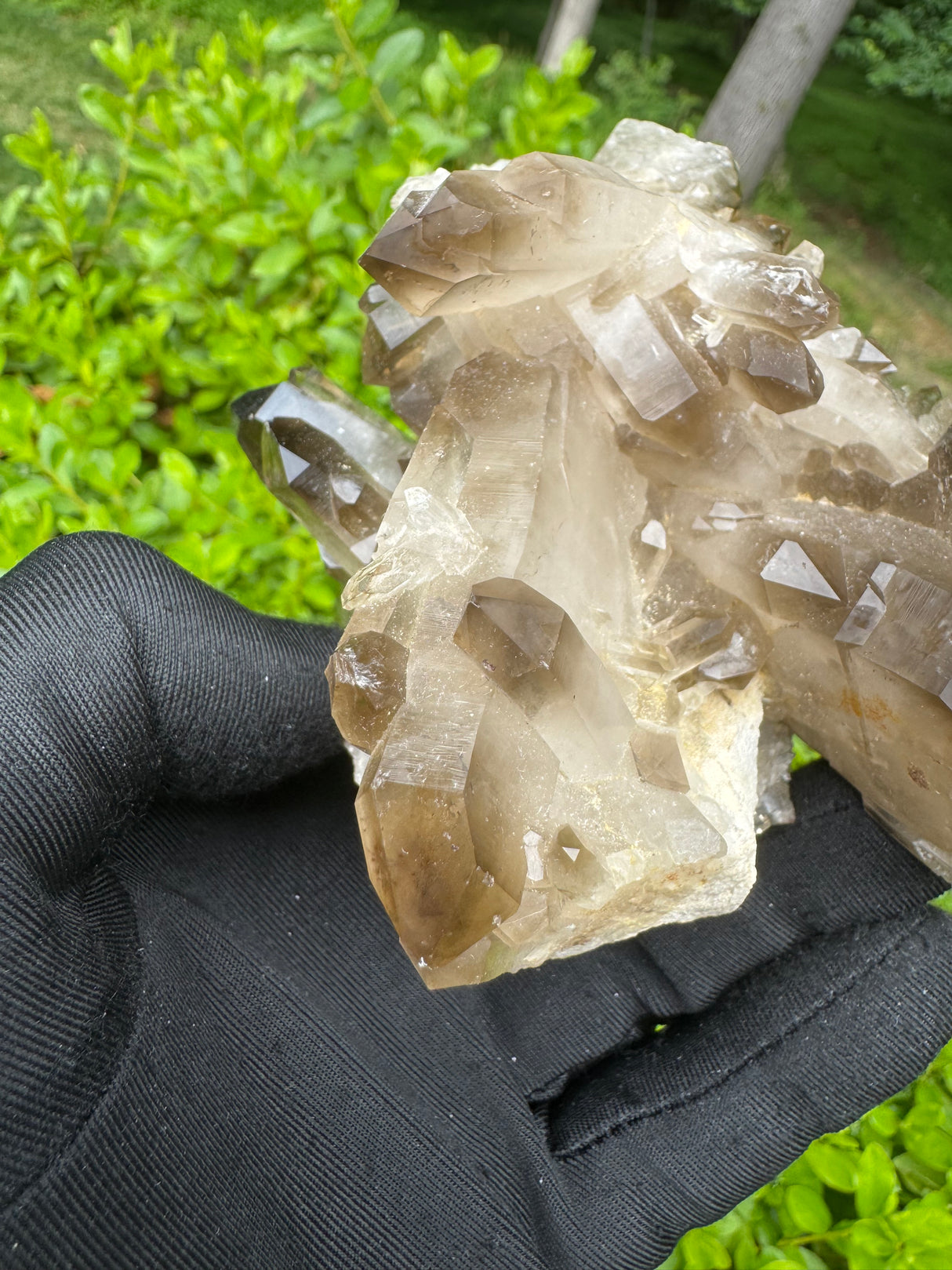 Smoky Quartz Specimen - 485g