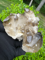 Smoky Quartz Specimen - 485g