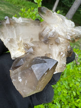 Smoky Quartz Specimen - 485g