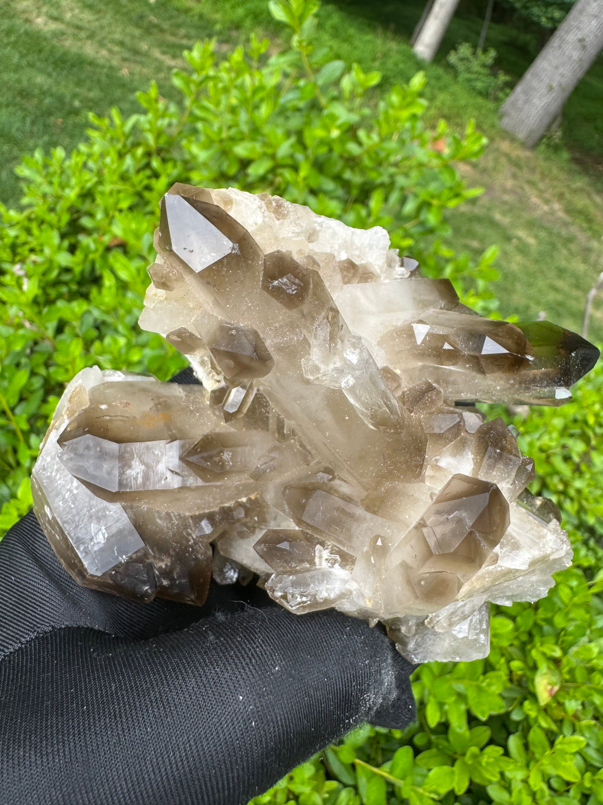 Smoky Quartz Specimen - 485g