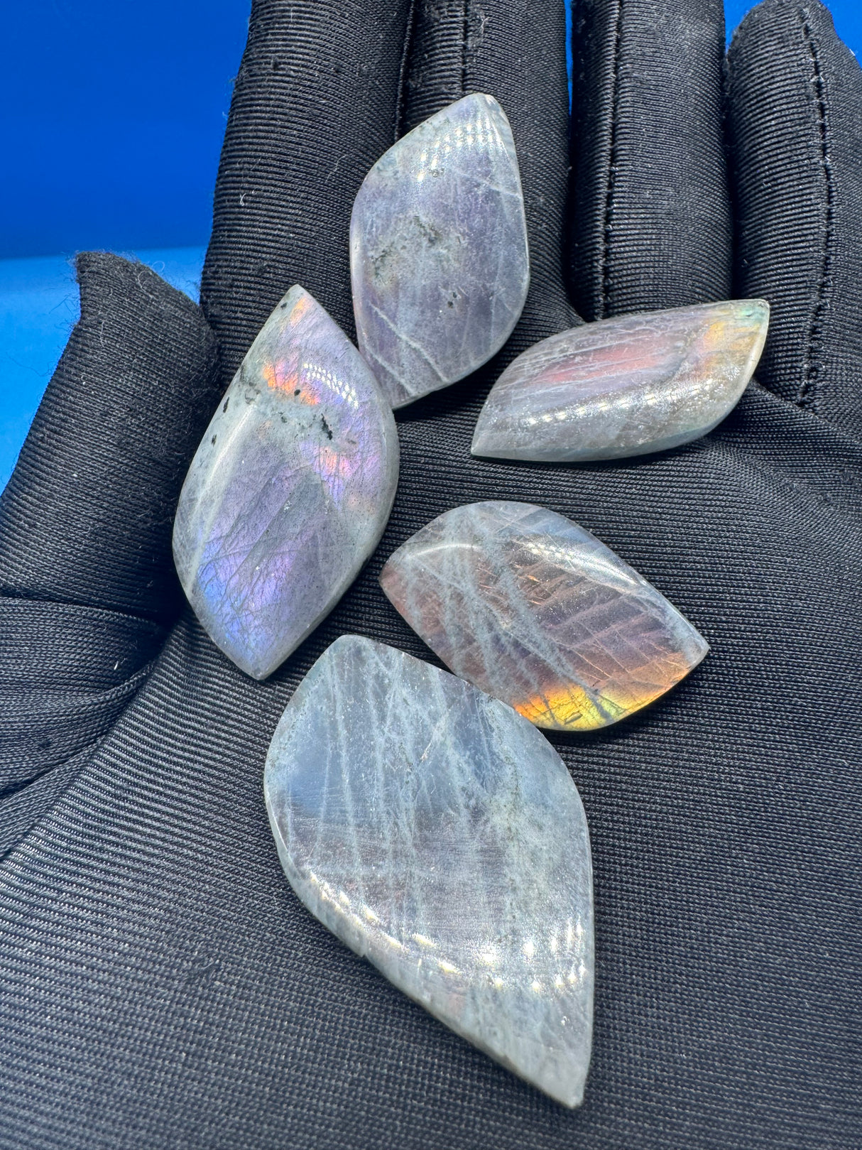 Labradorite Cabochon 5pc Lot - 49g
